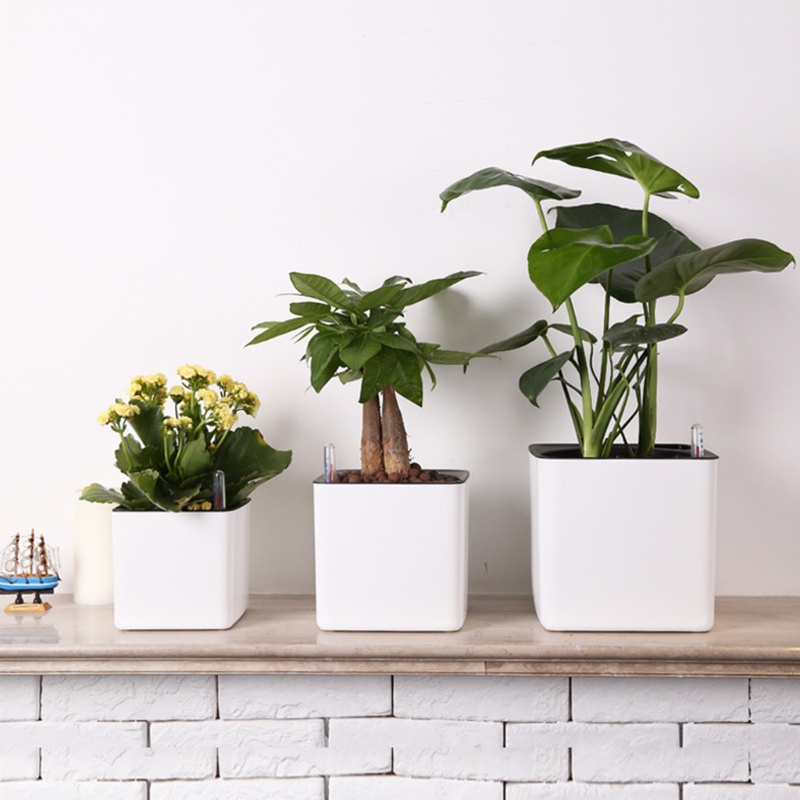 Chậu Trồng Cây Tự Tưới Nước Có Đèn Báo Hiệu Dùng Trang Trí Trong Nhà / Ngoài Trời