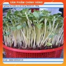 HẠT GIỐNG RAU MẦM CỦ CẢI ĐỎ gói 50gr