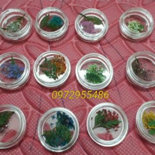 Hoa lụa hoa chùm khô