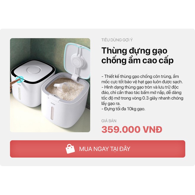 Thùng đựng gạo Ecoco 10kg chống ẩm, thông minh cao cấp