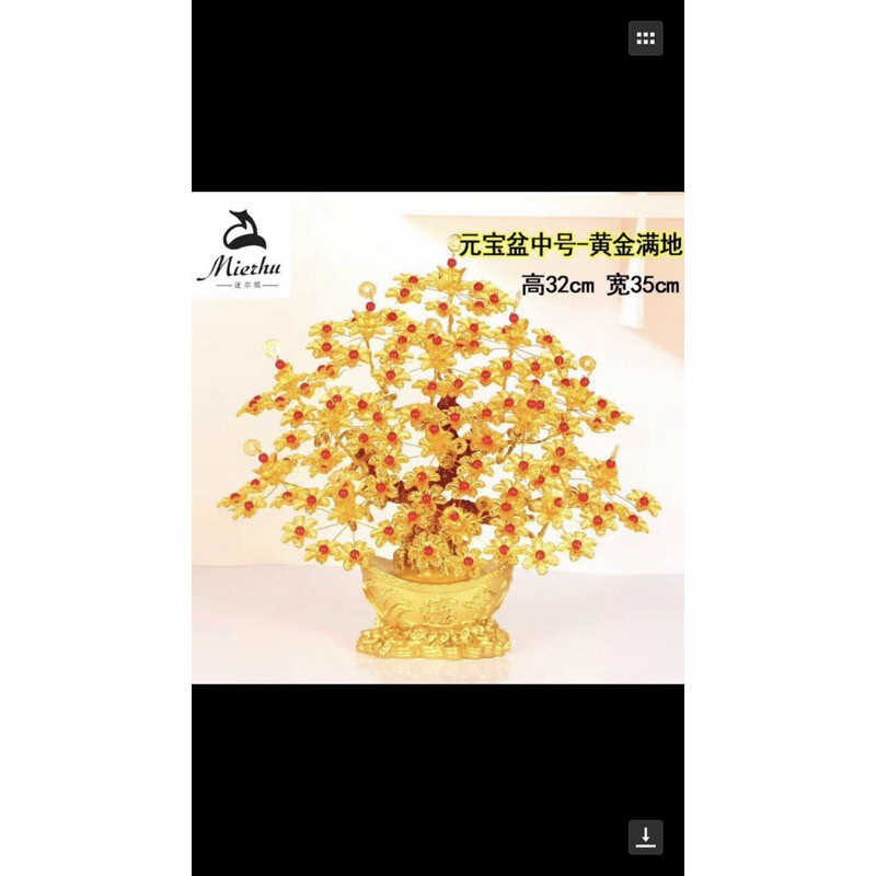 Cây kim tiền mạ vàng 7 cành phong thuỷ cho gia chủ tài lộc may mắn