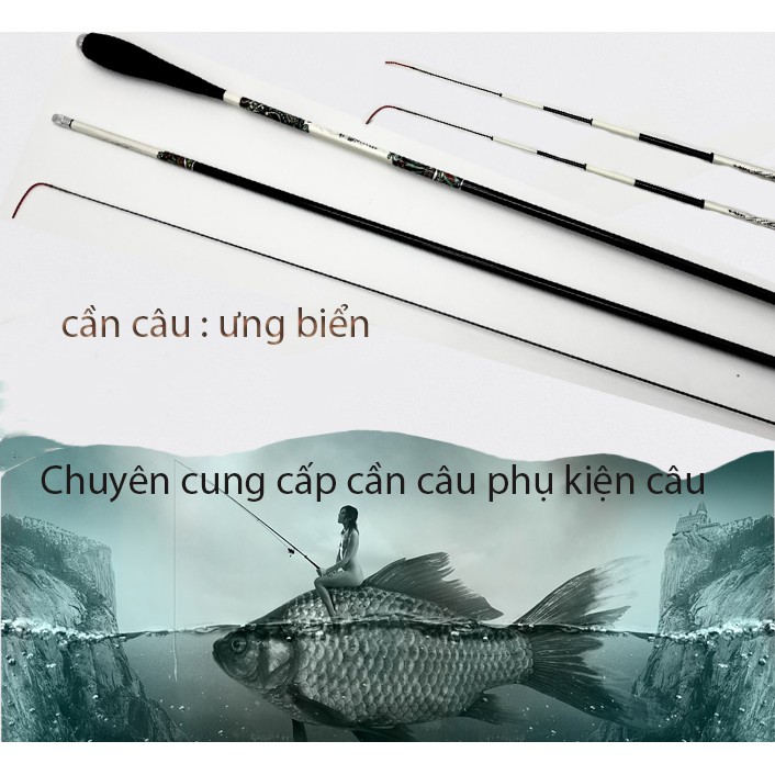 Cần câu ưng biểu