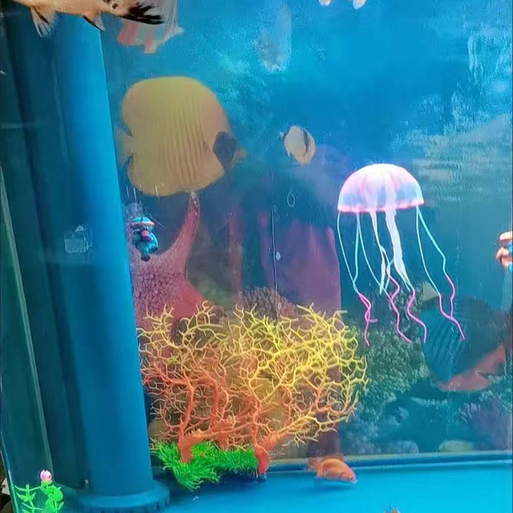 San hô giả trang trí bể cá nhiều màu đẹp mắt chất lượng