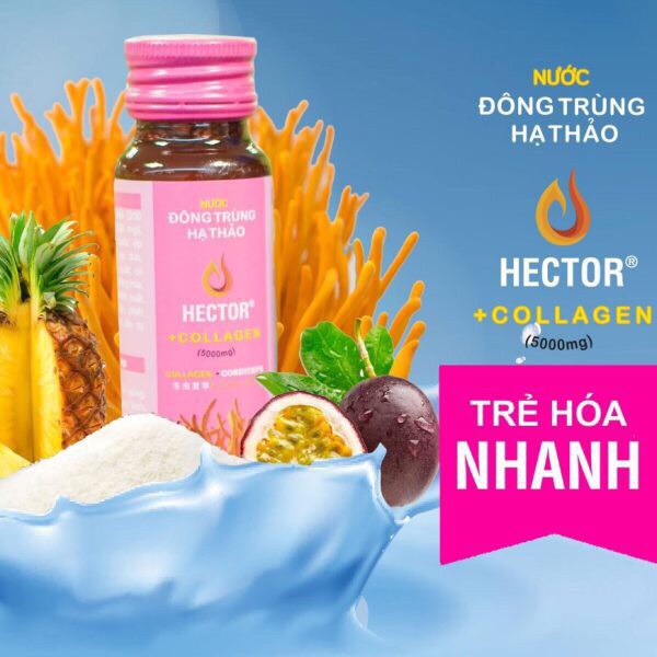 (CHÍNH HÃNG) Combo 04 hộp Đông Trùng Hạ Thảo Hector Collagen (10 chai / hộp)