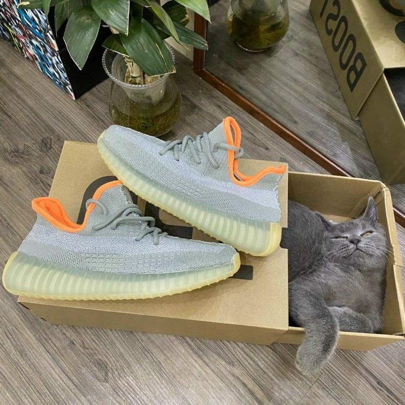 Adidas YEEZY 350 V2 DESERT SAGE Review.