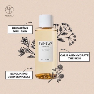Toner, Serrum Chiết Xuất Rau Má Skin1004 Madagascar Centella Toning Toner