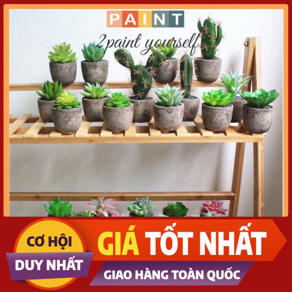 Cây xương rồng giả kèm chậu , cây giả decor trang trí [DECORBYME]