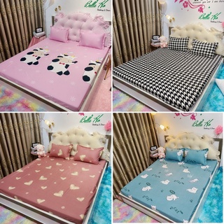 Bộ ga gối poly cottong ,drap giường poly, ga trải giường + 2 vỏ gối nằm kích thước m6 / m8