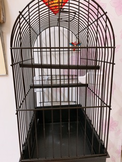 Lồng nuôi yến hót hàng Ý