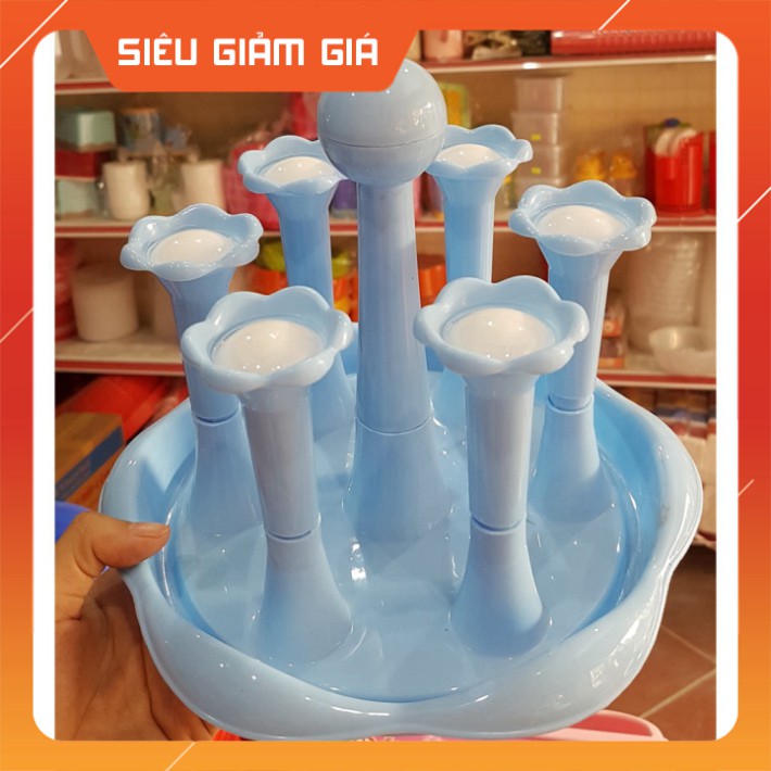 Úp cốc Việt nhật