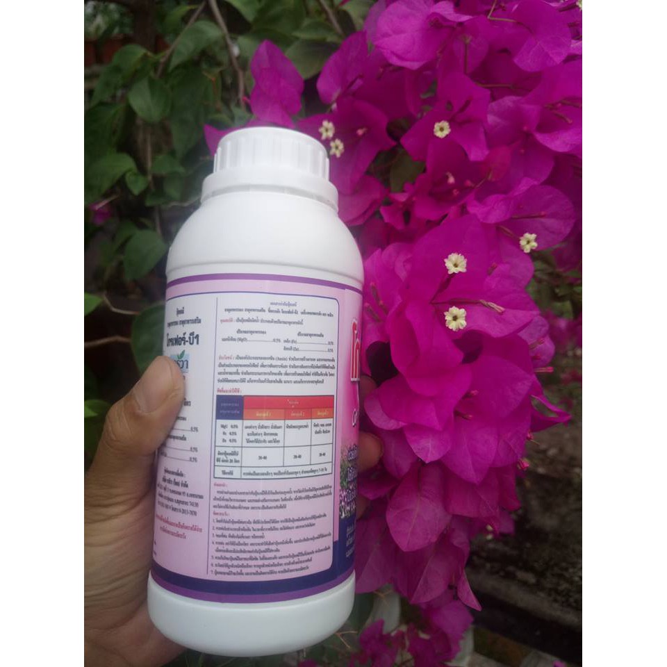 Vitamin B1 Grofer 100ml (Thái Lan)