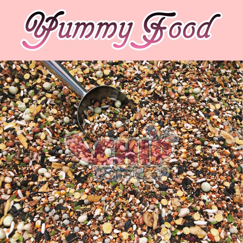 Thức ăn Hamster Yummy
