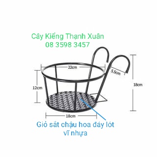 Giỏ treo chậu hoa - Giỏ  treo Chậu hoa ban công - Giỏ sắt treo chậu cây cứng cáp, R 22cm, R đáy 18cm