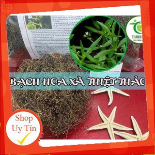 Bạch Hoa Xà Thiệt Thảo Khô 100Gr - Cây Thuốc Nam Thanh Bình