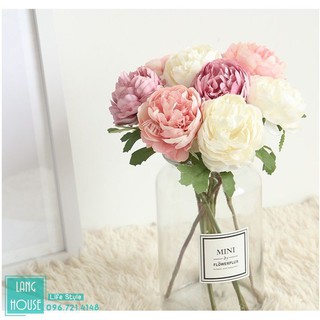Tổng Kho Decor Hoa Giả Lụa - HOA HỒNG PANDORA Loại 1 Giống Thật