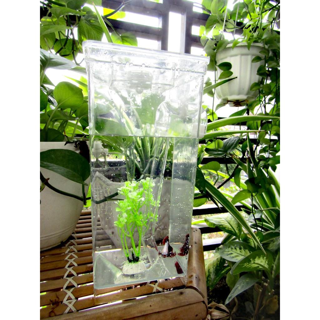 Bể cá thông minh mini My Fun Fish tự làm sạch nước bẩn