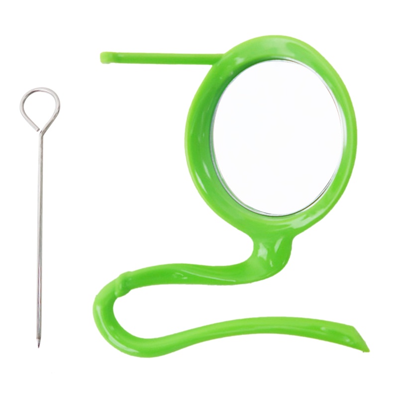Giá Đỡ Trái Cây/Rau Củ Quả/Trái Cây Bằng Acrylic + Gương + Thanh Đứng 3 Trong 1 Dành Cho Chim Vẹt Cỡ Nhỏ Trung Bình