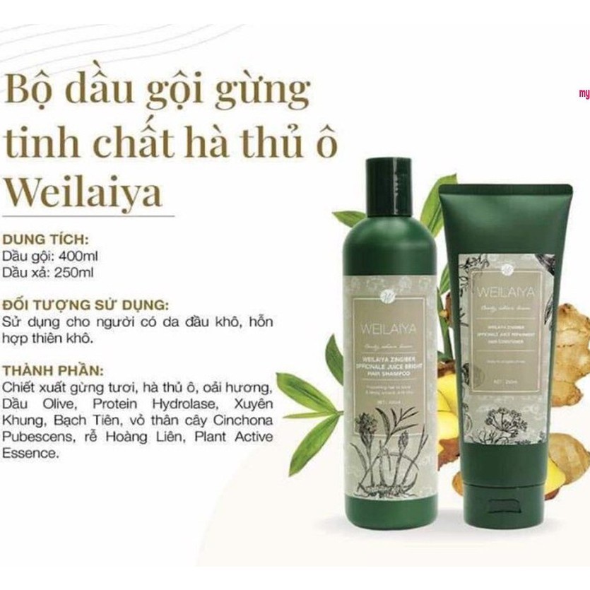 Dầu Gội Weilaiya gừng chính hãng - Hàng Chính Hãng-cosmetic999