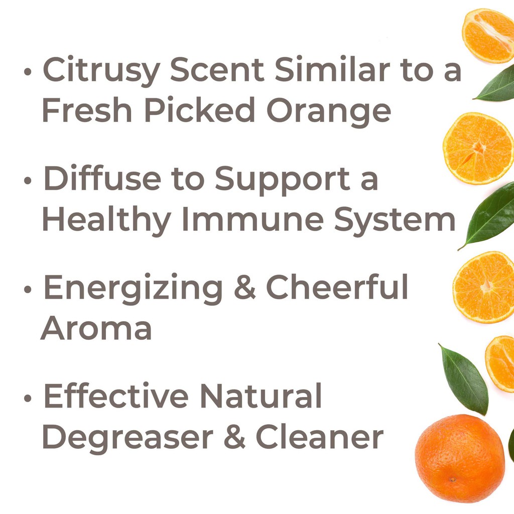 Plant Therapy - Tinh Dầu Vỏ Cam Ngọt Hữu Cơ - Orange Sweet Organic KidSafe Essential Oil - 10mL