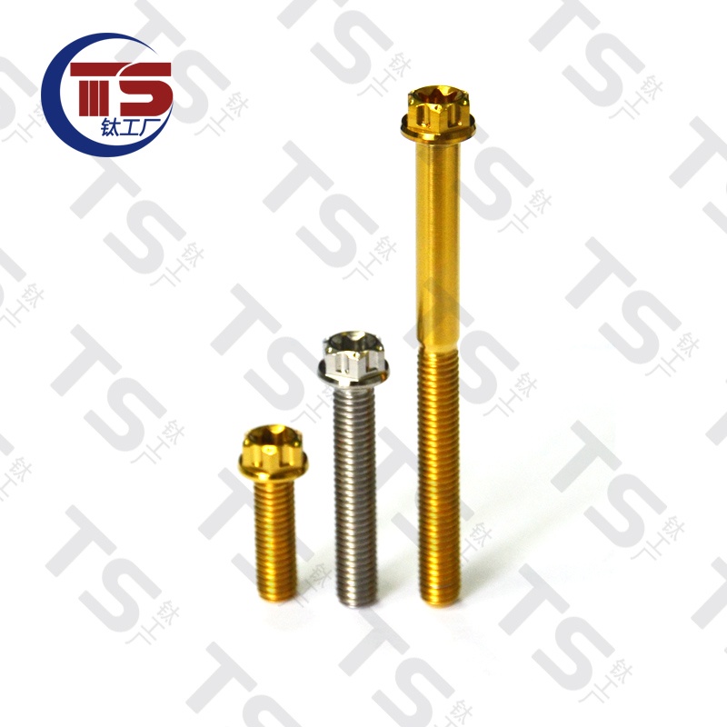 Ốc Vít Đầu Phẳng Hợp Kim Titan M6X10-70mm Chuyên Dụng Cho Động Cơ Xe Hơi