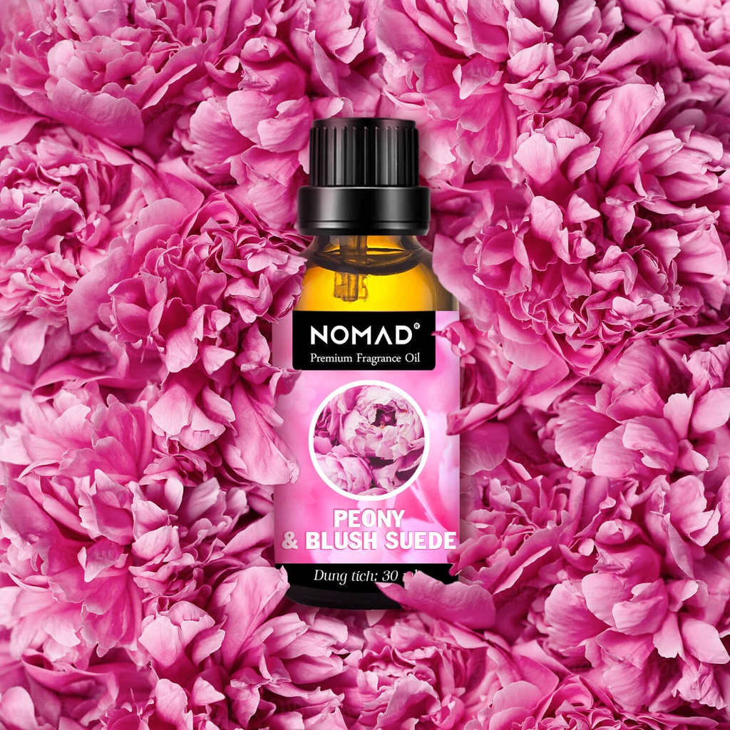 Tinh Dầu Thơm Cao Cấp Dùng Cho Khách Sạn Nomad Premium Fragrance Oil