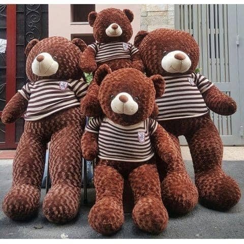 Gấu Bông Teddy Gối Ôm Hình Thú Nhồi Bông Siêu To Khổng Lồ Size 40cm-1m8