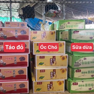 Thùng Hướng Dương Tẩm Vị Caramen, Óc Chó, Táo Đỏ, Sữa Dừa Thùng 5Kg