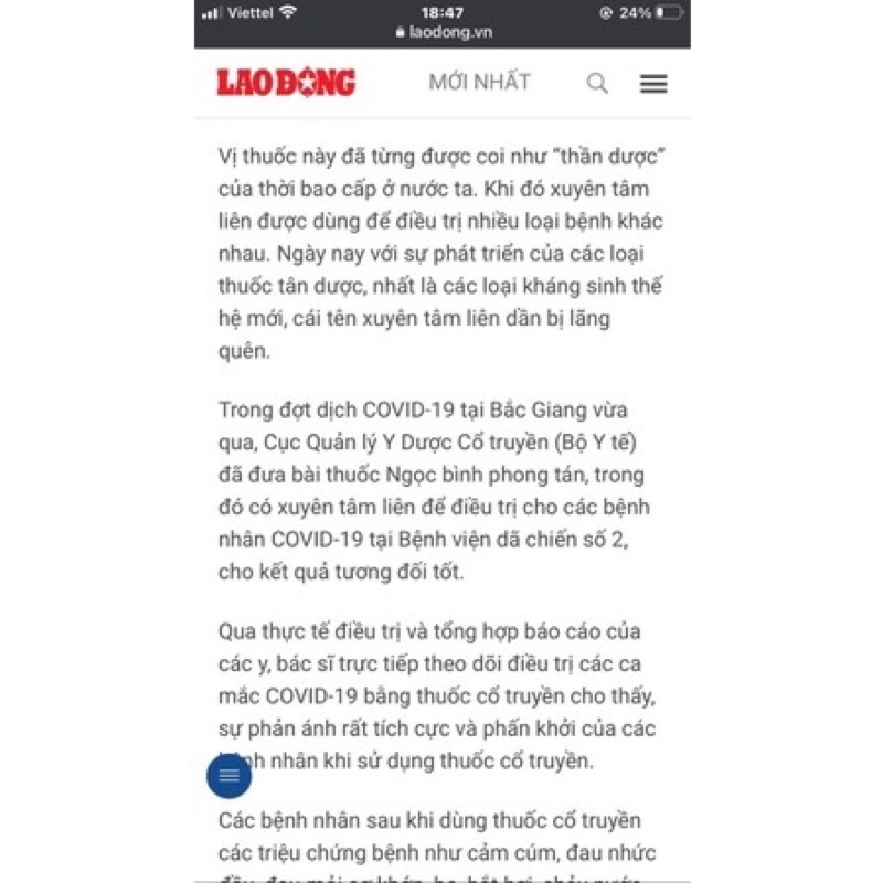 Hạt Giống Xuyên Tâm Liên Thu Hoạch Sau 100 Ngày, Dễ Trồng, Thanh Nhiệt, Giải Độc, Trị Viêm Đường Hô Hấp (100 hạt/gói)