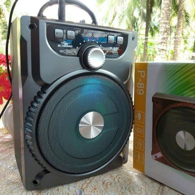 Loa kèm míc hát P89