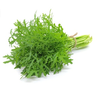 Hạt mù tạt xanh 100h