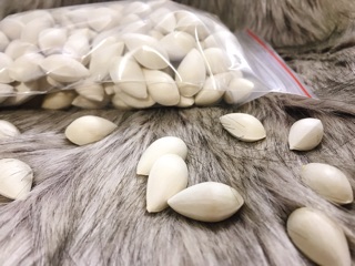 Bạch quả (gói 500gr)