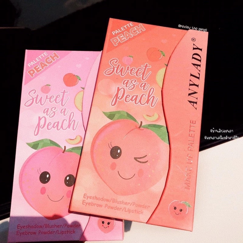 Ví Phấn bóp trang điểm Any Lady Thái (set lớn)  KIT MAKEUP ANYLADY