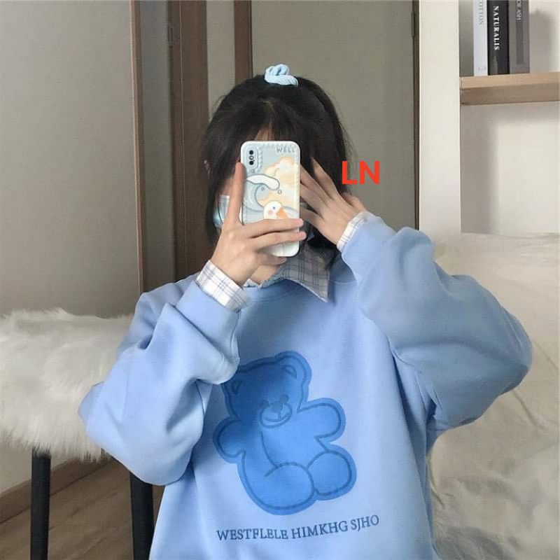 Áo sweater nỉ in hình chú Gấu cute cực độc lạ | BigBuy360 - bigbuy360.vn