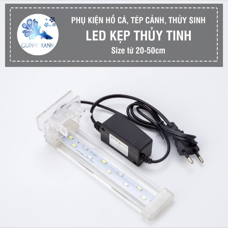 Đèn kẹp bể cá thẩm mỹ , siêu sáng phù hợp với hồ cá , hồ thủy sinh