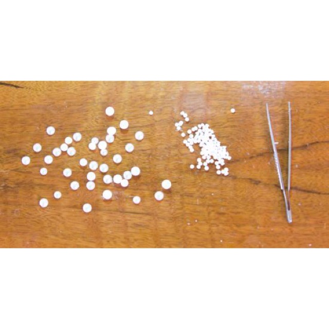 1ký hạt xốp trắng 1-2mm