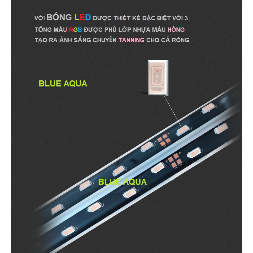 Đèn Led RGB Ibay Chuyên Tanning Cá Rồng