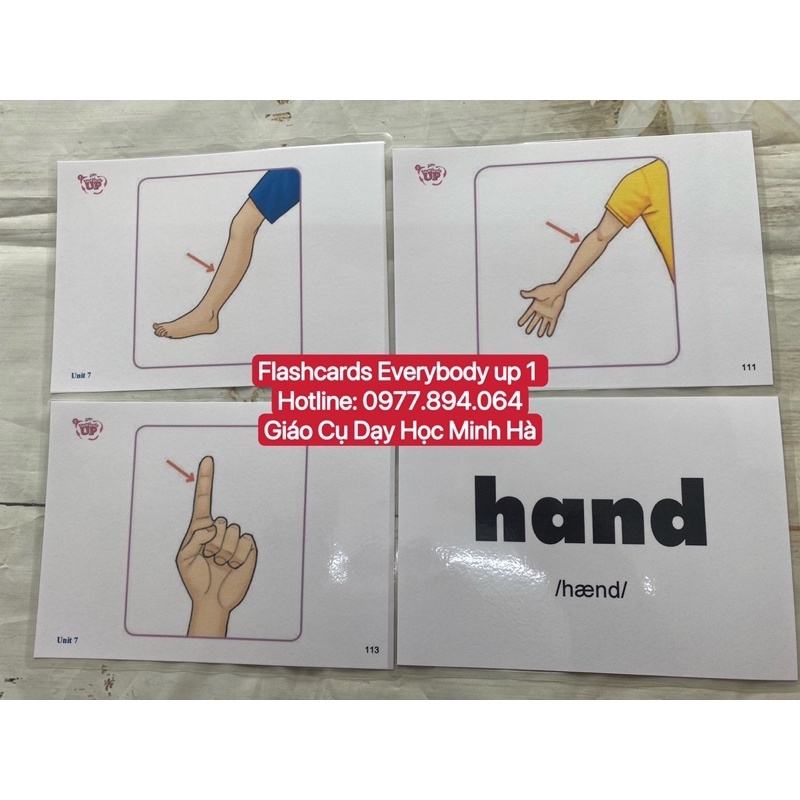 Flashcard  Everybody up 1 kích thước A5 thiết kế hai mặt ép plastics bền đẹp