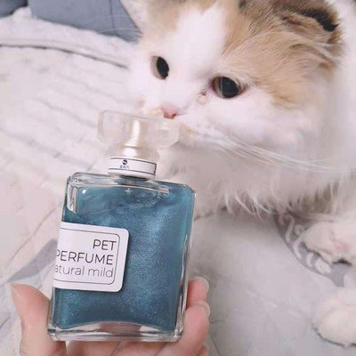 [HCM] Nước hoa Pet Perfume - Nước hoa có hạt mạ vàng cho thú cưng