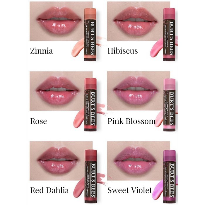 (hàng Mới Về) Son Dưỡng Môi Chiết Xuất Mật Ong Tự Nhiên Dưỡng Ẩm Chăm Sóc Môi | BigBuy360 - bigbuy360.vn