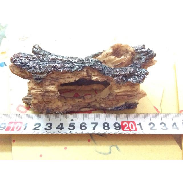 Khúc cây trang trí chữ I cho hồ thuỷ sinh, bò sát