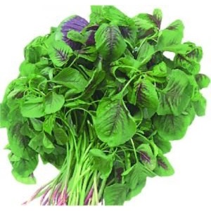 Hạt giống Rau dền cơm dễ trồng TOTT's fertilizer