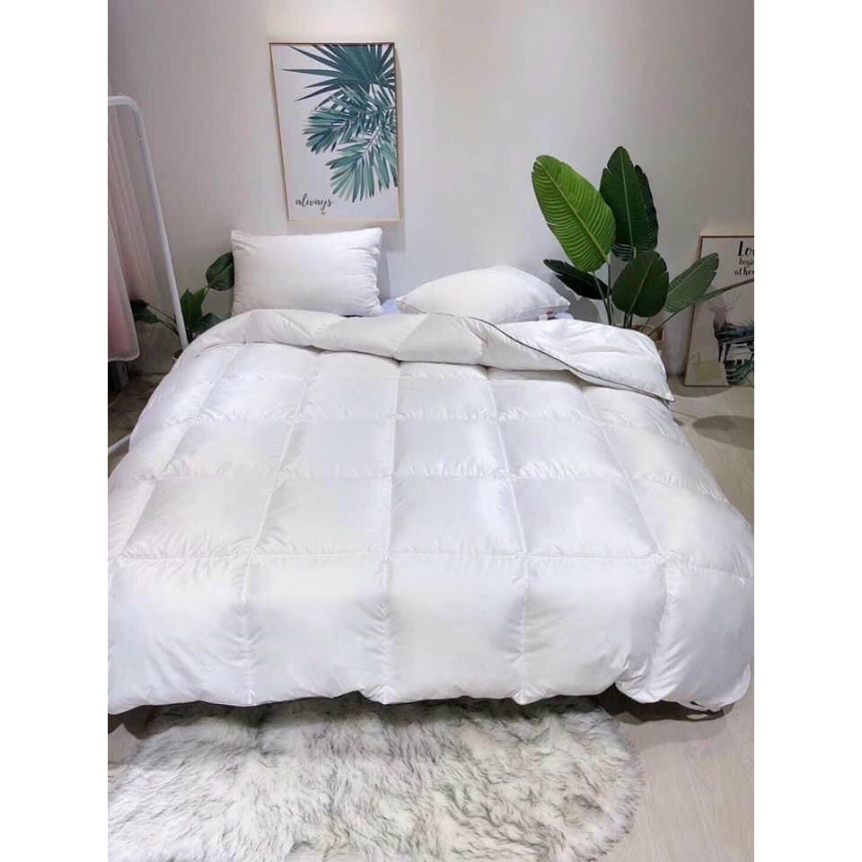 [NHẬP KHẨU] Ruột chăn zara home lông vũ cao cấp sang trọng 3kg - 2M3X2M