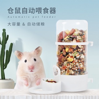 Bát ăn tự động cho hamster