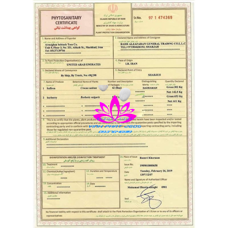 [Chính Hãng] Kem Face Cấy Trắng Men Gạo NICOS-THANH NHI