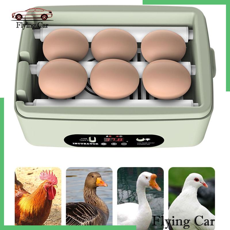Lồng Ấp Trứng 6 Ngăn Mini Điều Khiển Nhiệt Độ