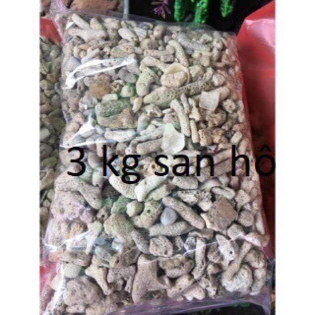 3kg san hô lọc nước