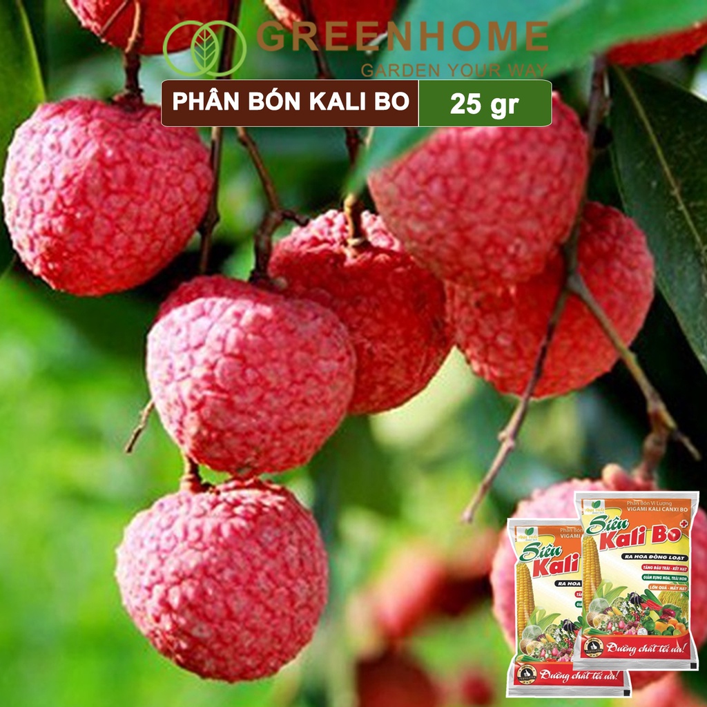 Phân bón Kali bo, gói 25g, kích thích ra hoa, quả to, chắc ruột, tăng độ ngọt | Greenhome