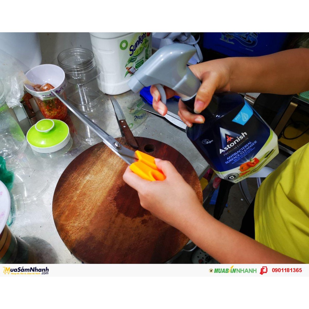 Bình Xịt Khử Khuẩn Vệ Sinh Dụng Cụ Bếp, Tủ Lạnh ASTONISH C3420 750ML