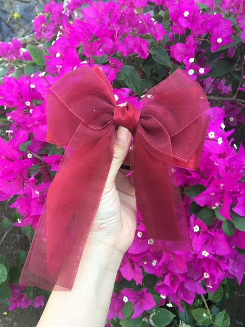 Kẹp  nơ voan phối