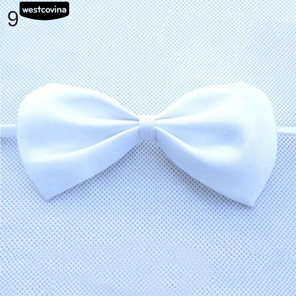 Vòng Cổ Hình Nơ Xinh Xắn Cho Thú Cưng